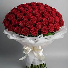 Букет 101 Красная роза Блэк Мэджик в Углянце