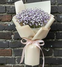 Букет цветов из:  Гипсофила в Углянце