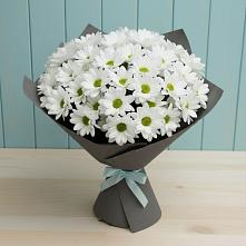 Букет цветов из:  Хризантемы #REPLACE_PRED# Углянце