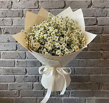 Букет цветов из:  Ромашки #REPLACE_PRED# Углянце