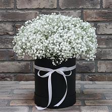 Цветочная композиция из Гипсофила в шляпной коробке #REPLACE_PRED# Углянце