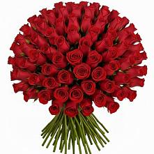 Букет Красные розы Чери Лав в Углянце