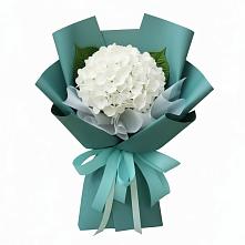 Букет цветов из:  Гортензия в Углянце
